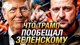 Трамп призвал Зеленского не верить…Стали известны детали телефонного разговора политиков