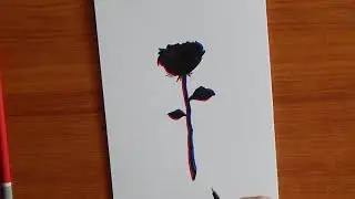 Losing sight of the dream | Rose Drawing | How to draw a rose