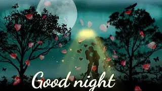 Romantic good night status / felling love good night status