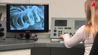 The Scanning Electron Microscope