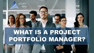 What is a Project Portfolio Manager