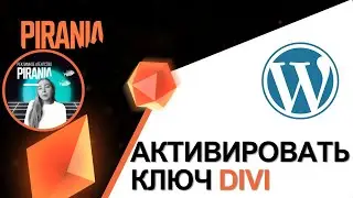 Как активировать ключ Divi