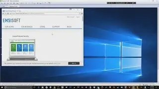 Emsisoft Internet Security 11 Protection Test