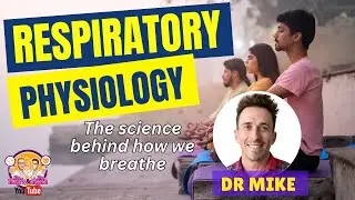 Respiratory Physiology | The Respiratory System