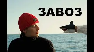 Секонд хенд патруль.  АКУЛЫ НА ЗАВОЗЕ PAUL & SHARK