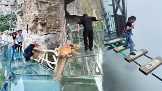 😂Scariest Cliff-side Glass Walkway😱People dare to walk, Funny moment, Amazing chinese landscape