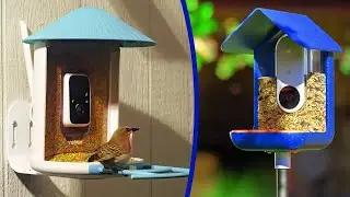 BEST BIRD FEEDER CAMERAS 2024 -  THE ONLY 5 YOU SHOULD CONSIDER TODAY!