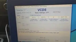 2.0 TFSI throttle body alignment group in VCDS