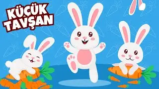 Bir Küçücük Tavşancık Varmış 🐰 - Hayvanları Tanıyalım - Çocuk Şarkıları - Çizgi Film