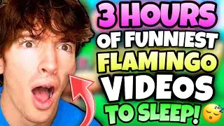 *3 HOURS* OF “BEST “FLAMINGO VIDEOS! (ROBLOX/MARATHON)