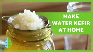 Boost Your Health with WATER KEFIR 🍹✅ Benefits and How to Take It