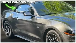 Window Tints on my 2020 Mustang GT...they look GREAT