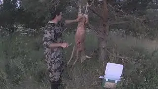 Охота на косулю. Как РАЗОБРАТЬ косулю в ЛЕСУ. Контейнер Арктика.