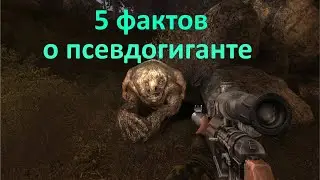 5 фактов о Псевдогиганте - S.T.A.L.K.E.R.