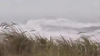 🌀 Hurricane, Storm Ambience on the Beach with Heavy Rough Ocean Waves Crashing on the Coast