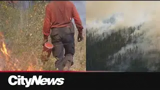 B.C. sees decrease in wildfire activity