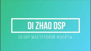 Di Zhao DSP - обзор мастеровой флейты