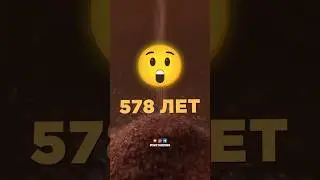 Многие этого даже не понимают! 