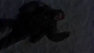 XXXTENTACION - SNOW [RUS SUB/ПЕРЕВОД (MUSIC VIDEO)
