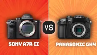 Sony A7R II vs Panasonic GH4: Which Camera Is Better? (With Ratings & Sample Footage)