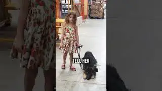 5 Year Old Walks German Shepherd LIKE A PRO