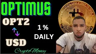 Optimus Money | Big Changes Happening Inside Optimus Money