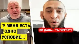 КОНЕЦ! Дана Уайт ПОСТАВИЛ ЖЕСТКОЕ условие ЧИМАЕВУ / Петр Ян БУДЕТ БЕЗ секундантов!