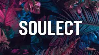 SOULECT for Serum - Presets Inspired by Kaytranada / Disclosure / Pomo / FKJ