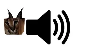 Raise A Floppa:Floppa Sound Effect