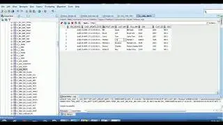 105. Informatica MDM 10 Tutorial - Audit Trail for Fullset Data Load and Incremental Data Load