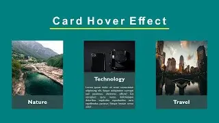 Card Hover Effect 5  | HTML CSS