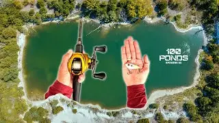 Fishing Abandoned Quarry Pond For Late Summer Bass (100 Ponds Ep. 53)