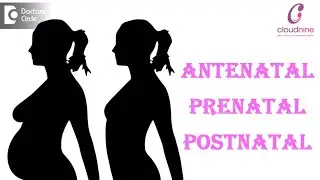 What is the difference between Antenatal, Prenatal and Postnatal? - Dr.Smitha Khose of C9 Hospitals