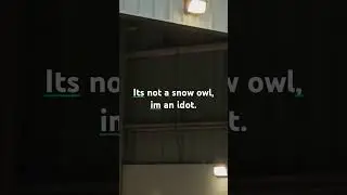 scary owl screeching