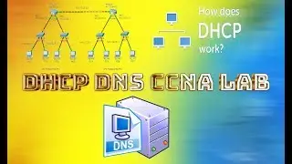 DHCP DNS CCNA LAB