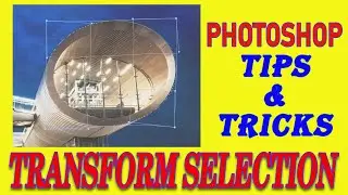 Transform a Selection in Photoshop  - Photoshop Essentials