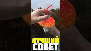 ЭТО САМЫЙ ЛУЧШИЙ СОВЕТ в DayZ 
