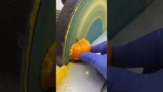 Sander VS Pumpkin 🍁