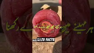 3 cheezon ko kabhi mat chodna #shorts #ytshorts #trending #viral @S_hd