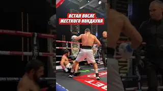 😨ВСТАЛ ПОСЛЕ ТЯЖЕЛОГО НОКДАУНА @hardcoreboxing8768 #нокдаун #бокс #hardcore #boxing #хардкор