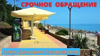 СРОЧНОЕ ОБРАЩЕНИЕ! 5 марта 2022. Сочи Лазаревское. Отдых на море - RUTUBE.