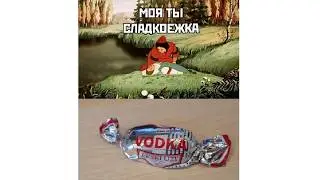 Новые МЕМЫ. Куда пропала водка?!!!