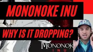 Mononoke Inu Price Analysis | Why Is Mononoke Inu Dropping?