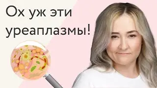 Нужно ли лечить уреаплазмы и микоплазмы?