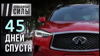 Infiniti QX50 2020 - тест длиной в 45 дней.