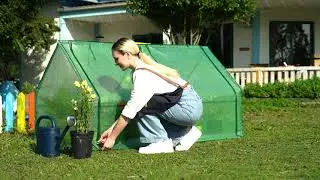 Quictent 71" x 36" x 36" Mini Greenhouse -Green for Backyard Gardening