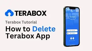 How to Delete Terabox App Permanently (2024)