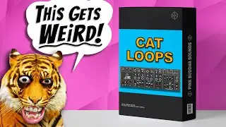 [FREE] Analog Loop Kit / Drum Kit - from the Behringer CAT