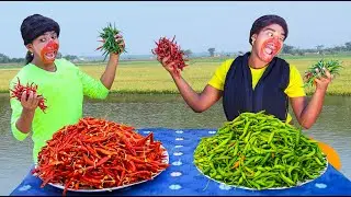 Must Watch Special Comedy Video 😎Totally Amazing Comedy Episode 290 by @mamafunltd