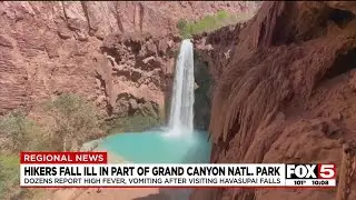 Hikers fall ill in Grand Canyon National Park